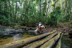 BIB: 
                            <button type="button" onclick="openModal(26430995)" class="btn btn-primary btn-sm float-right btn-popup" data-toggle="modal" data-target=".modal-high-quality">
                        <i class="fas fa-shopping-cart"></i> Add to Cart
                    </button>
                                            <button type="button" onclick="isThisMe(26430995, true)" class="btn btn-success btn-sm float-right btn-popup btn-isme hidden" data-toggle="tooltip" data-placement="bottom" title="นี่คือรูปของคุณใช่ไหม คลิกที่นี่เพื่อเอาเข้าอัลบั้ม">
                        <i class="fas fa-plus"></i> Add to album
                    </button>
                    <button type="button" onclick="isThisMe(26430995, false)" class="btn btn-warning btn-sm float-right btn-popup btn-isnotme hidden">
                        <i class="fas fa-ban"></i> Remove from album
                    </button>