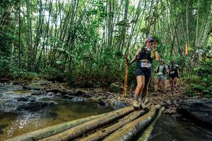 BIB: 
                            <button type="button" onclick="openModal(26464574)" class="btn btn-primary btn-sm float-right btn-popup" data-toggle="modal" data-target=".modal-high-quality">
                        <i class="fas fa-shopping-cart"></i> Add to Cart
                    </button>
                                            <button type="button" onclick="isThisMe(26464574, true)" class="btn btn-success btn-sm float-right btn-popup btn-isme hidden" data-toggle="tooltip" data-placement="bottom" title="นี่คือรูปของคุณใช่ไหม คลิกที่นี่เพื่อเอาเข้าอัลบั้ม">
                        <i class="fas fa-plus"></i> Add to album
                    </button>
                    <button type="button" onclick="isThisMe(26464574, false)" class="btn btn-warning btn-sm float-right btn-popup btn-isnotme hidden">
                        <i class="fas fa-ban"></i> Remove from album
                    </button>