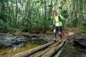 BIB: 
                            <button type="button" onclick="openModal(26443528)" class="btn btn-primary btn-sm float-right btn-popup" data-toggle="modal" data-target=".modal-high-quality">
                        <i class="fas fa-shopping-cart"></i> Add to Cart
                    </button>
                                            <button type="button" onclick="isThisMe(26443528, true)" class="btn btn-success btn-sm float-right btn-popup btn-isme hidden" data-toggle="tooltip" data-placement="bottom" title="นี่คือรูปของคุณใช่ไหม คลิกที่นี่เพื่อเอาเข้าอัลบั้ม">
                        <i class="fas fa-plus"></i> Add to album
                    </button>
                    <button type="button" onclick="isThisMe(26443528, false)" class="btn btn-warning btn-sm float-right btn-popup btn-isnotme hidden">
                        <i class="fas fa-ban"></i> Remove from album
                    </button>