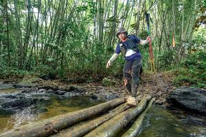 BIB: 
                            <button type="button" onclick="openModal(26432590)" class="btn btn-primary btn-sm float-right btn-popup" data-toggle="modal" data-target=".modal-high-quality">
                        <i class="fas fa-shopping-cart"></i> Add to Cart
                    </button>
                                            <button type="button" onclick="isThisMe(26432590, true)" class="btn btn-success btn-sm float-right btn-popup btn-isme hidden" data-toggle="tooltip" data-placement="bottom" title="นี่คือรูปของคุณใช่ไหม คลิกที่นี่เพื่อเอาเข้าอัลบั้ม">
                        <i class="fas fa-plus"></i> Add to album
                    </button>
                    <button type="button" onclick="isThisMe(26432590, false)" class="btn btn-warning btn-sm float-right btn-popup btn-isnotme hidden">
                        <i class="fas fa-ban"></i> Remove from album
                    </button>