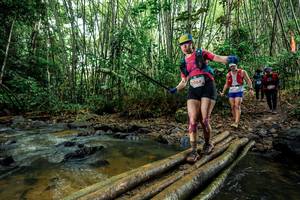 BIB: 
                            <button type="button" onclick="openModal(26504100)" class="btn btn-primary btn-sm float-right btn-popup" data-toggle="modal" data-target=".modal-high-quality">
                        <i class="fas fa-shopping-cart"></i> Add to Cart
                    </button>
                                            <button type="button" onclick="isThisMe(26504100, true)" class="btn btn-success btn-sm float-right btn-popup btn-isme hidden" data-toggle="tooltip" data-placement="bottom" title="นี่คือรูปของคุณใช่ไหม คลิกที่นี่เพื่อเอาเข้าอัลบั้ม">
                        <i class="fas fa-plus"></i> Add to album
                    </button>
                    <button type="button" onclick="isThisMe(26504100, false)" class="btn btn-warning btn-sm float-right btn-popup btn-isnotme hidden">
                        <i class="fas fa-ban"></i> Remove from album
                    </button>