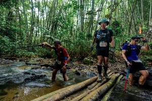 BIB: 
                            <button type="button" onclick="openModal(26455301)" class="btn btn-primary btn-sm float-right btn-popup" data-toggle="modal" data-target=".modal-high-quality">
                        <i class="fas fa-shopping-cart"></i> Add to Cart
                    </button>
                                            <button type="button" onclick="isThisMe(26455301, true)" class="btn btn-success btn-sm float-right btn-popup btn-isme hidden" data-toggle="tooltip" data-placement="bottom" title="นี่คือรูปของคุณใช่ไหม คลิกที่นี่เพื่อเอาเข้าอัลบั้ม">
                        <i class="fas fa-plus"></i> Add to album
                    </button>
                    <button type="button" onclick="isThisMe(26455301, false)" class="btn btn-warning btn-sm float-right btn-popup btn-isnotme hidden">
                        <i class="fas fa-ban"></i> Remove from album
                    </button>