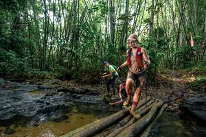 BIB: 
                            <button type="button" onclick="openModal(26440631)" class="btn btn-primary btn-sm float-right btn-popup" data-toggle="modal" data-target=".modal-high-quality">
                        <i class="fas fa-shopping-cart"></i> Add to Cart
                    </button>
                                            <button type="button" onclick="isThisMe(26440631, true)" class="btn btn-success btn-sm float-right btn-popup btn-isme hidden" data-toggle="tooltip" data-placement="bottom" title="นี่คือรูปของคุณใช่ไหม คลิกที่นี่เพื่อเอาเข้าอัลบั้ม">
                        <i class="fas fa-plus"></i> Add to album
                    </button>
                    <button type="button" onclick="isThisMe(26440631, false)" class="btn btn-warning btn-sm float-right btn-popup btn-isnotme hidden">
                        <i class="fas fa-ban"></i> Remove from album
                    </button>