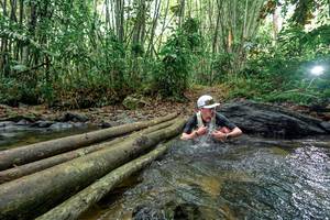 BIB: 
                            <button type="button" onclick="openModal(26436514)" class="btn btn-primary btn-sm float-right btn-popup" data-toggle="modal" data-target=".modal-high-quality">
                        <i class="fas fa-shopping-cart"></i> Add to Cart
                    </button>
                                            <button type="button" onclick="isThisMe(26436514, true)" class="btn btn-success btn-sm float-right btn-popup btn-isme hidden" data-toggle="tooltip" data-placement="bottom" title="นี่คือรูปของคุณใช่ไหม คลิกที่นี่เพื่อเอาเข้าอัลบั้ม">
                        <i class="fas fa-plus"></i> Add to album
                    </button>
                    <button type="button" onclick="isThisMe(26436514, false)" class="btn btn-warning btn-sm float-right btn-popup btn-isnotme hidden">
                        <i class="fas fa-ban"></i> Remove from album
                    </button>