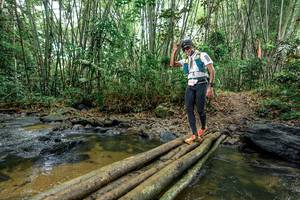 BIB: 
                            <button type="button" onclick="openModal(26500744)" class="btn btn-primary btn-sm float-right btn-popup" data-toggle="modal" data-target=".modal-high-quality">
                        <i class="fas fa-shopping-cart"></i> Add to Cart
                    </button>
                                            <button type="button" onclick="isThisMe(26500744, true)" class="btn btn-success btn-sm float-right btn-popup btn-isme hidden" data-toggle="tooltip" data-placement="bottom" title="นี่คือรูปของคุณใช่ไหม คลิกที่นี่เพื่อเอาเข้าอัลบั้ม">
                        <i class="fas fa-plus"></i> Add to album
                    </button>
                    <button type="button" onclick="isThisMe(26500744, false)" class="btn btn-warning btn-sm float-right btn-popup btn-isnotme hidden">
                        <i class="fas fa-ban"></i> Remove from album
                    </button>