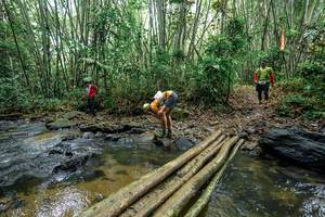 BIB: 
                            <button type="button" onclick="openModal(26501854)" class="btn btn-primary btn-sm float-right btn-popup" data-toggle="modal" data-target=".modal-high-quality">
                        <i class="fas fa-shopping-cart"></i> Add to Cart
                    </button>
                                            <button type="button" onclick="isThisMe(26501854, true)" class="btn btn-success btn-sm float-right btn-popup btn-isme hidden" data-toggle="tooltip" data-placement="bottom" title="นี่คือรูปของคุณใช่ไหม คลิกที่นี่เพื่อเอาเข้าอัลบั้ม">
                        <i class="fas fa-plus"></i> Add to album
                    </button>
                    <button type="button" onclick="isThisMe(26501854, false)" class="btn btn-warning btn-sm float-right btn-popup btn-isnotme hidden">
                        <i class="fas fa-ban"></i> Remove from album
                    </button>