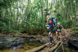 BIB: 
                            <button type="button" onclick="openModal(26502834)" class="btn btn-primary btn-sm float-right btn-popup" data-toggle="modal" data-target=".modal-high-quality">
                        <i class="fas fa-shopping-cart"></i> Add to Cart
                    </button>
                                            <button type="button" onclick="isThisMe(26502834, true)" class="btn btn-success btn-sm float-right btn-popup btn-isme hidden" data-toggle="tooltip" data-placement="bottom" title="นี่คือรูปของคุณใช่ไหม คลิกที่นี่เพื่อเอาเข้าอัลบั้ม">
                        <i class="fas fa-plus"></i> Add to album
                    </button>
                    <button type="button" onclick="isThisMe(26502834, false)" class="btn btn-warning btn-sm float-right btn-popup btn-isnotme hidden">
                        <i class="fas fa-ban"></i> Remove from album
                    </button>