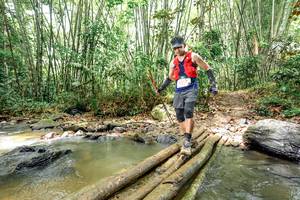 BIB: 
                            <button type="button" onclick="openModal(26448953)" class="btn btn-primary btn-sm float-right btn-popup" data-toggle="modal" data-target=".modal-high-quality">
                        <i class="fas fa-shopping-cart"></i> Add to Cart
                    </button>
                                            <button type="button" onclick="isThisMe(26448953, true)" class="btn btn-success btn-sm float-right btn-popup btn-isme hidden" data-toggle="tooltip" data-placement="bottom" title="นี่คือรูปของคุณใช่ไหม คลิกที่นี่เพื่อเอาเข้าอัลบั้ม">
                        <i class="fas fa-plus"></i> Add to album
                    </button>
                    <button type="button" onclick="isThisMe(26448953, false)" class="btn btn-warning btn-sm float-right btn-popup btn-isnotme hidden">
                        <i class="fas fa-ban"></i> Remove from album
                    </button>