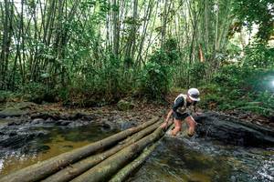 BIB: 
                            <button type="button" onclick="openModal(26436326)" class="btn btn-primary btn-sm float-right btn-popup" data-toggle="modal" data-target=".modal-high-quality">
                        <i class="fas fa-shopping-cart"></i> Add to Cart
                    </button>
                                            <button type="button" onclick="isThisMe(26436326, true)" class="btn btn-success btn-sm float-right btn-popup btn-isme hidden" data-toggle="tooltip" data-placement="bottom" title="นี่คือรูปของคุณใช่ไหม คลิกที่นี่เพื่อเอาเข้าอัลบั้ม">
                        <i class="fas fa-plus"></i> Add to album
                    </button>
                    <button type="button" onclick="isThisMe(26436326, false)" class="btn btn-warning btn-sm float-right btn-popup btn-isnotme hidden">
                        <i class="fas fa-ban"></i> Remove from album
                    </button>