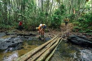 BIB: 
                            <button type="button" onclick="openModal(26501852)" class="btn btn-primary btn-sm float-right btn-popup" data-toggle="modal" data-target=".modal-high-quality">
                        <i class="fas fa-shopping-cart"></i> Add to Cart
                    </button>
                                            <button type="button" onclick="isThisMe(26501852, true)" class="btn btn-success btn-sm float-right btn-popup btn-isme hidden" data-toggle="tooltip" data-placement="bottom" title="นี่คือรูปของคุณใช่ไหม คลิกที่นี่เพื่อเอาเข้าอัลบั้ม">
                        <i class="fas fa-plus"></i> Add to album
                    </button>
                    <button type="button" onclick="isThisMe(26501852, false)" class="btn btn-warning btn-sm float-right btn-popup btn-isnotme hidden">
                        <i class="fas fa-ban"></i> Remove from album
                    </button>