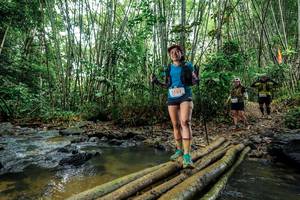 BIB: 
                            <button type="button" onclick="openModal(26465934)" class="btn btn-primary btn-sm float-right btn-popup" data-toggle="modal" data-target=".modal-high-quality">
                        <i class="fas fa-shopping-cart"></i> Add to Cart
                    </button>
                                            <button type="button" onclick="isThisMe(26465934, true)" class="btn btn-success btn-sm float-right btn-popup btn-isme hidden" data-toggle="tooltip" data-placement="bottom" title="นี่คือรูปของคุณใช่ไหม คลิกที่นี่เพื่อเอาเข้าอัลบั้ม">
                        <i class="fas fa-plus"></i> Add to album
                    </button>
                    <button type="button" onclick="isThisMe(26465934, false)" class="btn btn-warning btn-sm float-right btn-popup btn-isnotme hidden">
                        <i class="fas fa-ban"></i> Remove from album
                    </button>