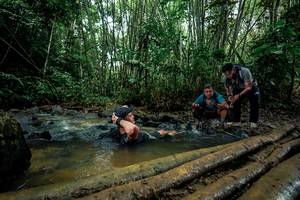 BIB: 
                            <button type="button" onclick="openModal(26486156)" class="btn btn-primary btn-sm float-right btn-popup" data-toggle="modal" data-target=".modal-high-quality">
                        <i class="fas fa-shopping-cart"></i> Add to Cart
                    </button>
                                            <button type="button" onclick="isThisMe(26486156, true)" class="btn btn-success btn-sm float-right btn-popup btn-isme hidden" data-toggle="tooltip" data-placement="bottom" title="นี่คือรูปของคุณใช่ไหม คลิกที่นี่เพื่อเอาเข้าอัลบั้ม">
                        <i class="fas fa-plus"></i> Add to album
                    </button>
                    <button type="button" onclick="isThisMe(26486156, false)" class="btn btn-warning btn-sm float-right btn-popup btn-isnotme hidden">
                        <i class="fas fa-ban"></i> Remove from album
                    </button>