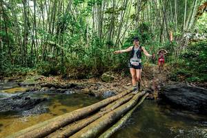 BIB: 
                            <button type="button" onclick="openModal(26503615)" class="btn btn-primary btn-sm float-right btn-popup" data-toggle="modal" data-target=".modal-high-quality">
                        <i class="fas fa-shopping-cart"></i> Add to Cart
                    </button>
                                            <button type="button" onclick="isThisMe(26503615, true)" class="btn btn-success btn-sm float-right btn-popup btn-isme hidden" data-toggle="tooltip" data-placement="bottom" title="นี่คือรูปของคุณใช่ไหม คลิกที่นี่เพื่อเอาเข้าอัลบั้ม">
                        <i class="fas fa-plus"></i> Add to album
                    </button>
                    <button type="button" onclick="isThisMe(26503615, false)" class="btn btn-warning btn-sm float-right btn-popup btn-isnotme hidden">
                        <i class="fas fa-ban"></i> Remove from album
                    </button>