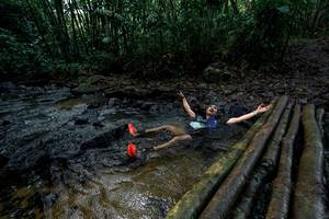 BIB: 
                            <button type="button" onclick="openModal(26428002)" class="btn btn-primary btn-sm float-right btn-popup" data-toggle="modal" data-target=".modal-high-quality">
                        <i class="fas fa-shopping-cart"></i> Add to Cart
                    </button>
                                            <button type="button" onclick="isThisMe(26428002, true)" class="btn btn-success btn-sm float-right btn-popup btn-isme hidden" data-toggle="tooltip" data-placement="bottom" title="นี่คือรูปของคุณใช่ไหม คลิกที่นี่เพื่อเอาเข้าอัลบั้ม">
                        <i class="fas fa-plus"></i> Add to album
                    </button>
                    <button type="button" onclick="isThisMe(26428002, false)" class="btn btn-warning btn-sm float-right btn-popup btn-isnotme hidden">
                        <i class="fas fa-ban"></i> Remove from album
                    </button>