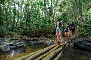 BIB: 
                            <button type="button" onclick="openModal(26464631)" class="btn btn-primary btn-sm float-right btn-popup" data-toggle="modal" data-target=".modal-high-quality">
                        <i class="fas fa-shopping-cart"></i> Add to Cart
                    </button>
                                            <button type="button" onclick="isThisMe(26464631, true)" class="btn btn-success btn-sm float-right btn-popup btn-isme hidden" data-toggle="tooltip" data-placement="bottom" title="นี่คือรูปของคุณใช่ไหม คลิกที่นี่เพื่อเอาเข้าอัลบั้ม">
                        <i class="fas fa-plus"></i> Add to album
                    </button>
                    <button type="button" onclick="isThisMe(26464631, false)" class="btn btn-warning btn-sm float-right btn-popup btn-isnotme hidden">
                        <i class="fas fa-ban"></i> Remove from album
                    </button>