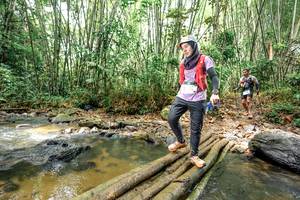 BIB: 
                            <button type="button" onclick="openModal(26447016)" class="btn btn-primary btn-sm float-right btn-popup" data-toggle="modal" data-target=".modal-high-quality">
                        <i class="fas fa-shopping-cart"></i> Add to Cart
                    </button>
                                            <button type="button" onclick="isThisMe(26447016, true)" class="btn btn-success btn-sm float-right btn-popup btn-isme hidden" data-toggle="tooltip" data-placement="bottom" title="นี่คือรูปของคุณใช่ไหม คลิกที่นี่เพื่อเอาเข้าอัลบั้ม">
                        <i class="fas fa-plus"></i> Add to album
                    </button>
                    <button type="button" onclick="isThisMe(26447016, false)" class="btn btn-warning btn-sm float-right btn-popup btn-isnotme hidden">
                        <i class="fas fa-ban"></i> Remove from album
                    </button>