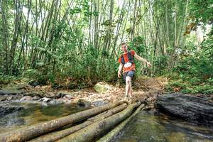 BIB: 
                            <button type="button" onclick="openModal(26440410)" class="btn btn-primary btn-sm float-right btn-popup" data-toggle="modal" data-target=".modal-high-quality">
                        <i class="fas fa-shopping-cart"></i> Add to Cart
                    </button>
                                            <button type="button" onclick="isThisMe(26440410, true)" class="btn btn-success btn-sm float-right btn-popup btn-isme hidden" data-toggle="tooltip" data-placement="bottom" title="นี่คือรูปของคุณใช่ไหม คลิกที่นี่เพื่อเอาเข้าอัลบั้ม">
                        <i class="fas fa-plus"></i> Add to album
                    </button>
                    <button type="button" onclick="isThisMe(26440410, false)" class="btn btn-warning btn-sm float-right btn-popup btn-isnotme hidden">
                        <i class="fas fa-ban"></i> Remove from album
                    </button>