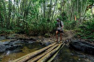 BIB: 
                            <button type="button" onclick="openModal(26454417)" class="btn btn-primary btn-sm float-right btn-popup" data-toggle="modal" data-target=".modal-high-quality">
                        <i class="fas fa-shopping-cart"></i> Add to Cart
                    </button>
                                            <button type="button" onclick="isThisMe(26454417, true)" class="btn btn-success btn-sm float-right btn-popup btn-isme hidden" data-toggle="tooltip" data-placement="bottom" title="นี่คือรูปของคุณใช่ไหม คลิกที่นี่เพื่อเอาเข้าอัลบั้ม">
                        <i class="fas fa-plus"></i> Add to album
                    </button>
                    <button type="button" onclick="isThisMe(26454417, false)" class="btn btn-warning btn-sm float-right btn-popup btn-isnotme hidden">
                        <i class="fas fa-ban"></i> Remove from album
                    </button>