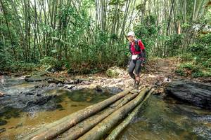 BIB: 
                            <button type="button" onclick="openModal(26439112)" class="btn btn-primary btn-sm float-right btn-popup" data-toggle="modal" data-target=".modal-high-quality">
                        <i class="fas fa-shopping-cart"></i> Add to Cart
                    </button>
                                            <button type="button" onclick="isThisMe(26439112, true)" class="btn btn-success btn-sm float-right btn-popup btn-isme hidden" data-toggle="tooltip" data-placement="bottom" title="นี่คือรูปของคุณใช่ไหม คลิกที่นี่เพื่อเอาเข้าอัลบั้ม">
                        <i class="fas fa-plus"></i> Add to album
                    </button>
                    <button type="button" onclick="isThisMe(26439112, false)" class="btn btn-warning btn-sm float-right btn-popup btn-isnotme hidden">
                        <i class="fas fa-ban"></i> Remove from album
                    </button>