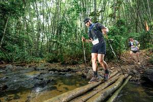 BIB: 
                            <button type="button" onclick="openModal(26502696)" class="btn btn-primary btn-sm float-right btn-popup" data-toggle="modal" data-target=".modal-high-quality">
                        <i class="fas fa-shopping-cart"></i> Add to Cart
                    </button>
                                            <button type="button" onclick="isThisMe(26502696, true)" class="btn btn-success btn-sm float-right btn-popup btn-isme hidden" data-toggle="tooltip" data-placement="bottom" title="นี่คือรูปของคุณใช่ไหม คลิกที่นี่เพื่อเอาเข้าอัลบั้ม">
                        <i class="fas fa-plus"></i> Add to album
                    </button>
                    <button type="button" onclick="isThisMe(26502696, false)" class="btn btn-warning btn-sm float-right btn-popup btn-isnotme hidden">
                        <i class="fas fa-ban"></i> Remove from album
                    </button>