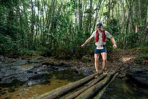 BIB: 
                            <button type="button" onclick="openModal(26442183)" class="btn btn-primary btn-sm float-right btn-popup" data-toggle="modal" data-target=".modal-high-quality">
                        <i class="fas fa-shopping-cart"></i> Add to Cart
                    </button>
                                            <button type="button" onclick="isThisMe(26442183, true)" class="btn btn-success btn-sm float-right btn-popup btn-isme hidden" data-toggle="tooltip" data-placement="bottom" title="นี่คือรูปของคุณใช่ไหม คลิกที่นี่เพื่อเอาเข้าอัลบั้ม">
                        <i class="fas fa-plus"></i> Add to album
                    </button>
                    <button type="button" onclick="isThisMe(26442183, false)" class="btn btn-warning btn-sm float-right btn-popup btn-isnotme hidden">
                        <i class="fas fa-ban"></i> Remove from album
                    </button>