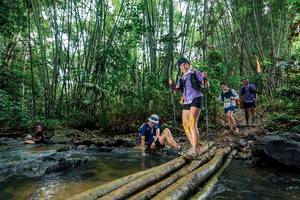 BIB: 
                            <button type="button" onclick="openModal(26490248)" class="btn btn-primary btn-sm float-right btn-popup" data-toggle="modal" data-target=".modal-high-quality">
                        <i class="fas fa-shopping-cart"></i> Add to Cart
                    </button>
                                            <button type="button" onclick="isThisMe(26490248, true)" class="btn btn-success btn-sm float-right btn-popup btn-isme hidden" data-toggle="tooltip" data-placement="bottom" title="นี่คือรูปของคุณใช่ไหม คลิกที่นี่เพื่อเอาเข้าอัลบั้ม">
                        <i class="fas fa-plus"></i> Add to album
                    </button>
                    <button type="button" onclick="isThisMe(26490248, false)" class="btn btn-warning btn-sm float-right btn-popup btn-isnotme hidden">
                        <i class="fas fa-ban"></i> Remove from album
                    </button>