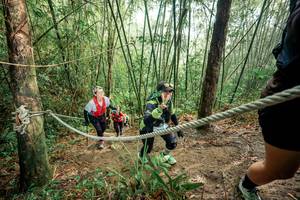 BIB: 
                            <button type="button" onclick="openModal(26508253)" class="btn btn-primary btn-sm float-right btn-popup" data-toggle="modal" data-target=".modal-high-quality">
                        <i class="fas fa-shopping-cart"></i> Add to Cart
                    </button>
                                            <button type="button" onclick="isThisMe(26508253, true)" class="btn btn-success btn-sm float-right btn-popup btn-isme hidden" data-toggle="tooltip" data-placement="bottom" title="นี่คือรูปของคุณใช่ไหม คลิกที่นี่เพื่อเอาเข้าอัลบั้ม">
                        <i class="fas fa-plus"></i> Add to album
                    </button>
                    <button type="button" onclick="isThisMe(26508253, false)" class="btn btn-warning btn-sm float-right btn-popup btn-isnotme hidden">
                        <i class="fas fa-ban"></i> Remove from album
                    </button>