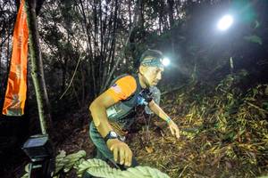 BIB: 
                            <button type="button" onclick="openModal(26519786)" class="btn btn-primary btn-sm float-right btn-popup" data-toggle="modal" data-target=".modal-high-quality">
                        <i class="fas fa-shopping-cart"></i> Add to Cart
                    </button>
                                            <button type="button" onclick="isThisMe(26519786, true)" class="btn btn-success btn-sm float-right btn-popup btn-isme hidden" data-toggle="tooltip" data-placement="bottom" title="นี่คือรูปของคุณใช่ไหม คลิกที่นี่เพื่อเอาเข้าอัลบั้ม">
                        <i class="fas fa-plus"></i> Add to album
                    </button>
                    <button type="button" onclick="isThisMe(26519786, false)" class="btn btn-warning btn-sm float-right btn-popup btn-isnotme hidden">
                        <i class="fas fa-ban"></i> Remove from album
                    </button>