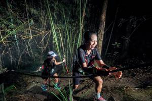 BIB: 
                            <button type="button" onclick="openModal(26516917)" class="btn btn-primary btn-sm float-right btn-popup" data-toggle="modal" data-target=".modal-high-quality">
                        <i class="fas fa-shopping-cart"></i> Add to Cart
                    </button>
                                            <button type="button" onclick="isThisMe(26516917, true)" class="btn btn-success btn-sm float-right btn-popup btn-isme hidden" data-toggle="tooltip" data-placement="bottom" title="นี่คือรูปของคุณใช่ไหม คลิกที่นี่เพื่อเอาเข้าอัลบั้ม">
                        <i class="fas fa-plus"></i> Add to album
                    </button>
                    <button type="button" onclick="isThisMe(26516917, false)" class="btn btn-warning btn-sm float-right btn-popup btn-isnotme hidden">
                        <i class="fas fa-ban"></i> Remove from album
                    </button>