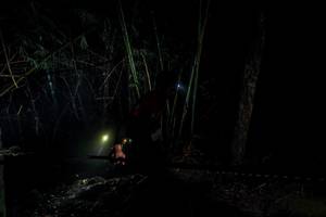 BIB: 
                            <button type="button" onclick="openModal(26516531)" class="btn btn-primary btn-sm float-right btn-popup" data-toggle="modal" data-target=".modal-high-quality">
                        <i class="fas fa-shopping-cart"></i> Add to Cart
                    </button>
                                            <button type="button" onclick="isThisMe(26516531, true)" class="btn btn-success btn-sm float-right btn-popup btn-isme hidden" data-toggle="tooltip" data-placement="bottom" title="นี่คือรูปของคุณใช่ไหม คลิกที่นี่เพื่อเอาเข้าอัลบั้ม">
                        <i class="fas fa-plus"></i> Add to album
                    </button>
                    <button type="button" onclick="isThisMe(26516531, false)" class="btn btn-warning btn-sm float-right btn-popup btn-isnotme hidden">
                        <i class="fas fa-ban"></i> Remove from album
                    </button>