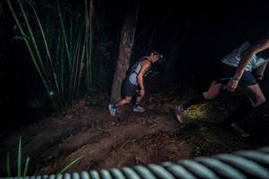 BIB: 
                            <button type="button" onclick="openModal(26516423)" class="btn btn-primary btn-sm float-right btn-popup" data-toggle="modal" data-target=".modal-high-quality">
                        <i class="fas fa-shopping-cart"></i> Add to Cart
                    </button>
                                            <button type="button" onclick="isThisMe(26516423, true)" class="btn btn-success btn-sm float-right btn-popup btn-isme hidden" data-toggle="tooltip" data-placement="bottom" title="นี่คือรูปของคุณใช่ไหม คลิกที่นี่เพื่อเอาเข้าอัลบั้ม">
                        <i class="fas fa-plus"></i> Add to album
                    </button>
                    <button type="button" onclick="isThisMe(26516423, false)" class="btn btn-warning btn-sm float-right btn-popup btn-isnotme hidden">
                        <i class="fas fa-ban"></i> Remove from album
                    </button>