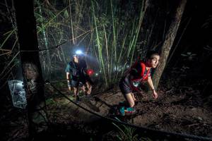 BIB: 
                            <button type="button" onclick="openModal(26517762)" class="btn btn-primary btn-sm float-right btn-popup" data-toggle="modal" data-target=".modal-high-quality">
                        <i class="fas fa-shopping-cart"></i> Add to Cart
                    </button>
                                            <button type="button" onclick="isThisMe(26517762, true)" class="btn btn-success btn-sm float-right btn-popup btn-isme hidden" data-toggle="tooltip" data-placement="bottom" title="นี่คือรูปของคุณใช่ไหม คลิกที่นี่เพื่อเอาเข้าอัลบั้ม">
                        <i class="fas fa-plus"></i> Add to album
                    </button>
                    <button type="button" onclick="isThisMe(26517762, false)" class="btn btn-warning btn-sm float-right btn-popup btn-isnotme hidden">
                        <i class="fas fa-ban"></i> Remove from album
                    </button>