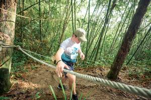 BIB: 
                            <button type="button" onclick="openModal(26509217)" class="btn btn-primary btn-sm float-right btn-popup" data-toggle="modal" data-target=".modal-high-quality">
                        <i class="fas fa-shopping-cart"></i> Add to Cart
                    </button>
                                            <button type="button" onclick="isThisMe(26509217, true)" class="btn btn-success btn-sm float-right btn-popup btn-isme hidden" data-toggle="tooltip" data-placement="bottom" title="นี่คือรูปของคุณใช่ไหม คลิกที่นี่เพื่อเอาเข้าอัลบั้ม">
                        <i class="fas fa-plus"></i> Add to album
                    </button>
                    <button type="button" onclick="isThisMe(26509217, false)" class="btn btn-warning btn-sm float-right btn-popup btn-isnotme hidden">
                        <i class="fas fa-ban"></i> Remove from album
                    </button>