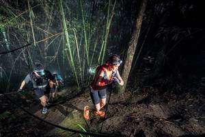 BIB: 
                            <button type="button" onclick="openModal(26519145)" class="btn btn-primary btn-sm float-right btn-popup" data-toggle="modal" data-target=".modal-high-quality">
                        <i class="fas fa-shopping-cart"></i> Add to Cart
                    </button>
                                            <button type="button" onclick="isThisMe(26519145, true)" class="btn btn-success btn-sm float-right btn-popup btn-isme hidden" data-toggle="tooltip" data-placement="bottom" title="นี่คือรูปของคุณใช่ไหม คลิกที่นี่เพื่อเอาเข้าอัลบั้ม">
                        <i class="fas fa-plus"></i> Add to album
                    </button>
                    <button type="button" onclick="isThisMe(26519145, false)" class="btn btn-warning btn-sm float-right btn-popup btn-isnotme hidden">
                        <i class="fas fa-ban"></i> Remove from album
                    </button>