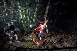 BIB: 
                            <button type="button" onclick="openModal(26519181)" class="btn btn-primary btn-sm float-right btn-popup" data-toggle="modal" data-target=".modal-high-quality">
                        <i class="fas fa-shopping-cart"></i> Add to Cart
                    </button>
                                            <button type="button" onclick="isThisMe(26519181, true)" class="btn btn-success btn-sm float-right btn-popup btn-isme hidden" data-toggle="tooltip" data-placement="bottom" title="นี่คือรูปของคุณใช่ไหม คลิกที่นี่เพื่อเอาเข้าอัลบั้ม">
                        <i class="fas fa-plus"></i> Add to album
                    </button>
                    <button type="button" onclick="isThisMe(26519181, false)" class="btn btn-warning btn-sm float-right btn-popup btn-isnotme hidden">
                        <i class="fas fa-ban"></i> Remove from album
                    </button>