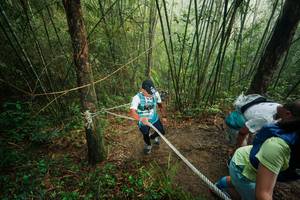 BIB: 
                            <button type="button" onclick="openModal(26524478)" class="btn btn-primary btn-sm float-right btn-popup" data-toggle="modal" data-target=".modal-high-quality">
                        <i class="fas fa-shopping-cart"></i> Add to Cart
                    </button>
                                            <button type="button" onclick="isThisMe(26524478, true)" class="btn btn-success btn-sm float-right btn-popup btn-isme hidden" data-toggle="tooltip" data-placement="bottom" title="นี่คือรูปของคุณใช่ไหม คลิกที่นี่เพื่อเอาเข้าอัลบั้ม">
                        <i class="fas fa-plus"></i> Add to album
                    </button>
                    <button type="button" onclick="isThisMe(26524478, false)" class="btn btn-warning btn-sm float-right btn-popup btn-isnotme hidden">
                        <i class="fas fa-ban"></i> Remove from album
                    </button>