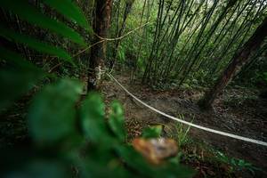 BIB: 
                            <button type="button" onclick="openModal(26523783)" class="btn btn-primary btn-sm float-right btn-popup" data-toggle="modal" data-target=".modal-high-quality">
                        <i class="fas fa-shopping-cart"></i> Add to Cart
                    </button>
                                            <button type="button" onclick="isThisMe(26523783, true)" class="btn btn-success btn-sm float-right btn-popup btn-isme hidden" data-toggle="tooltip" data-placement="bottom" title="นี่คือรูปของคุณใช่ไหม คลิกที่นี่เพื่อเอาเข้าอัลบั้ม">
                        <i class="fas fa-plus"></i> Add to album
                    </button>
                    <button type="button" onclick="isThisMe(26523783, false)" class="btn btn-warning btn-sm float-right btn-popup btn-isnotme hidden">
                        <i class="fas fa-ban"></i> Remove from album
                    </button>