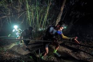 BIB: 
                            <button type="button" onclick="openModal(26518967)" class="btn btn-primary btn-sm float-right btn-popup" data-toggle="modal" data-target=".modal-high-quality">
                        <i class="fas fa-shopping-cart"></i> Add to Cart
                    </button>
                                            <button type="button" onclick="isThisMe(26518967, true)" class="btn btn-success btn-sm float-right btn-popup btn-isme hidden" data-toggle="tooltip" data-placement="bottom" title="นี่คือรูปของคุณใช่ไหม คลิกที่นี่เพื่อเอาเข้าอัลบั้ม">
                        <i class="fas fa-plus"></i> Add to album
                    </button>
                    <button type="button" onclick="isThisMe(26518967, false)" class="btn btn-warning btn-sm float-right btn-popup btn-isnotme hidden">
                        <i class="fas fa-ban"></i> Remove from album
                    </button>