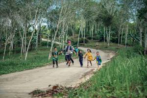 BIB: 
                            <button type="button" onclick="openModal(26483099)" class="btn btn-primary btn-sm float-right btn-popup" data-toggle="modal" data-target=".modal-high-quality">
                        <i class="fas fa-shopping-cart"></i> Add to Cart
                    </button>
                                            <button type="button" onclick="isThisMe(26483099, true)" class="btn btn-success btn-sm float-right btn-popup btn-isme hidden" data-toggle="tooltip" data-placement="bottom" title="นี่คือรูปของคุณใช่ไหม คลิกที่นี่เพื่อเอาเข้าอัลบั้ม">
                        <i class="fas fa-plus"></i> Add to album
                    </button>
                    <button type="button" onclick="isThisMe(26483099, false)" class="btn btn-warning btn-sm float-right btn-popup btn-isnotme hidden">
                        <i class="fas fa-ban"></i> Remove from album
                    </button>