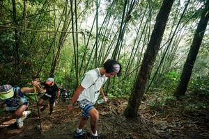 BIB: 
                            <button type="button" onclick="openModal(26524954)" class="btn btn-primary btn-sm float-right btn-popup" data-toggle="modal" data-target=".modal-high-quality">
                        <i class="fas fa-shopping-cart"></i> Add to Cart
                    </button>
                                            <button type="button" onclick="isThisMe(26524954, true)" class="btn btn-success btn-sm float-right btn-popup btn-isme hidden" data-toggle="tooltip" data-placement="bottom" title="นี่คือรูปของคุณใช่ไหม คลิกที่นี่เพื่อเอาเข้าอัลบั้ม">
                        <i class="fas fa-plus"></i> Add to album
                    </button>
                    <button type="button" onclick="isThisMe(26524954, false)" class="btn btn-warning btn-sm float-right btn-popup btn-isnotme hidden">
                        <i class="fas fa-ban"></i> Remove from album
                    </button>