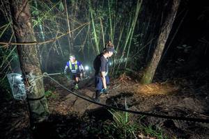 BIB: 
                            <button type="button" onclick="openModal(26518172)" class="btn btn-primary btn-sm float-right btn-popup" data-toggle="modal" data-target=".modal-high-quality">
                        <i class="fas fa-shopping-cart"></i> Add to Cart
                    </button>
                                            <button type="button" onclick="isThisMe(26518172, true)" class="btn btn-success btn-sm float-right btn-popup btn-isme hidden" data-toggle="tooltip" data-placement="bottom" title="นี่คือรูปของคุณใช่ไหม คลิกที่นี่เพื่อเอาเข้าอัลบั้ม">
                        <i class="fas fa-plus"></i> Add to album
                    </button>
                    <button type="button" onclick="isThisMe(26518172, false)" class="btn btn-warning btn-sm float-right btn-popup btn-isnotme hidden">
                        <i class="fas fa-ban"></i> Remove from album
                    </button>