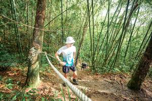 BIB: 
                            <button type="button" onclick="openModal(26509483)" class="btn btn-primary btn-sm float-right btn-popup" data-toggle="modal" data-target=".modal-high-quality">
                        <i class="fas fa-shopping-cart"></i> Add to Cart
                    </button>
                                            <button type="button" onclick="isThisMe(26509483, true)" class="btn btn-success btn-sm float-right btn-popup btn-isme hidden" data-toggle="tooltip" data-placement="bottom" title="นี่คือรูปของคุณใช่ไหม คลิกที่นี่เพื่อเอาเข้าอัลบั้ม">
                        <i class="fas fa-plus"></i> Add to album
                    </button>
                    <button type="button" onclick="isThisMe(26509483, false)" class="btn btn-warning btn-sm float-right btn-popup btn-isnotme hidden">
                        <i class="fas fa-ban"></i> Remove from album
                    </button>