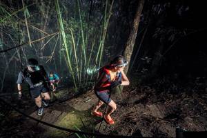 BIB: 
                            <button type="button" onclick="openModal(26519139)" class="btn btn-primary btn-sm float-right btn-popup" data-toggle="modal" data-target=".modal-high-quality">
                        <i class="fas fa-shopping-cart"></i> Add to Cart
                    </button>
                                            <button type="button" onclick="isThisMe(26519139, true)" class="btn btn-success btn-sm float-right btn-popup btn-isme hidden" data-toggle="tooltip" data-placement="bottom" title="นี่คือรูปของคุณใช่ไหม คลิกที่นี่เพื่อเอาเข้าอัลบั้ม">
                        <i class="fas fa-plus"></i> Add to album
                    </button>
                    <button type="button" onclick="isThisMe(26519139, false)" class="btn btn-warning btn-sm float-right btn-popup btn-isnotme hidden">
                        <i class="fas fa-ban"></i> Remove from album
                    </button>