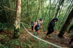 BIB: 
                            <button type="button" onclick="openModal(26508925)" class="btn btn-primary btn-sm float-right btn-popup" data-toggle="modal" data-target=".modal-high-quality">
                        <i class="fas fa-shopping-cart"></i> Add to Cart
                    </button>
                                            <button type="button" onclick="isThisMe(26508925, true)" class="btn btn-success btn-sm float-right btn-popup btn-isme hidden" data-toggle="tooltip" data-placement="bottom" title="นี่คือรูปของคุณใช่ไหม คลิกที่นี่เพื่อเอาเข้าอัลบั้ม">
                        <i class="fas fa-plus"></i> Add to album
                    </button>
                    <button type="button" onclick="isThisMe(26508925, false)" class="btn btn-warning btn-sm float-right btn-popup btn-isnotme hidden">
                        <i class="fas fa-ban"></i> Remove from album
                    </button>