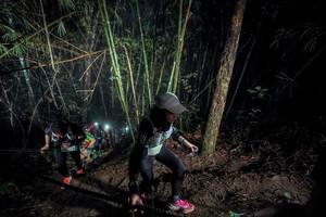 BIB: 
                            <button type="button" onclick="openModal(26517595)" class="btn btn-primary btn-sm float-right btn-popup" data-toggle="modal" data-target=".modal-high-quality">
                        <i class="fas fa-shopping-cart"></i> Add to Cart
                    </button>
                                            <button type="button" onclick="isThisMe(26517595, true)" class="btn btn-success btn-sm float-right btn-popup btn-isme hidden" data-toggle="tooltip" data-placement="bottom" title="นี่คือรูปของคุณใช่ไหม คลิกที่นี่เพื่อเอาเข้าอัลบั้ม">
                        <i class="fas fa-plus"></i> Add to album
                    </button>
                    <button type="button" onclick="isThisMe(26517595, false)" class="btn btn-warning btn-sm float-right btn-popup btn-isnotme hidden">
                        <i class="fas fa-ban"></i> Remove from album
                    </button>