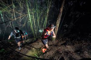 BIB: 
                            <button type="button" onclick="openModal(26519142)" class="btn btn-primary btn-sm float-right btn-popup" data-toggle="modal" data-target=".modal-high-quality">
                        <i class="fas fa-shopping-cart"></i> Add to Cart
                    </button>
                                            <button type="button" onclick="isThisMe(26519142, true)" class="btn btn-success btn-sm float-right btn-popup btn-isme hidden" data-toggle="tooltip" data-placement="bottom" title="นี่คือรูปของคุณใช่ไหม คลิกที่นี่เพื่อเอาเข้าอัลบั้ม">
                        <i class="fas fa-plus"></i> Add to album
                    </button>
                    <button type="button" onclick="isThisMe(26519142, false)" class="btn btn-warning btn-sm float-right btn-popup btn-isnotme hidden">
                        <i class="fas fa-ban"></i> Remove from album
                    </button>