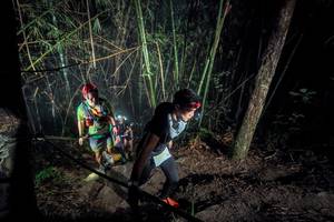 BIB: 
                            <button type="button" onclick="openModal(26517669)" class="btn btn-primary btn-sm float-right btn-popup" data-toggle="modal" data-target=".modal-high-quality">
                        <i class="fas fa-shopping-cart"></i> Add to Cart
                    </button>
                                            <button type="button" onclick="isThisMe(26517669, true)" class="btn btn-success btn-sm float-right btn-popup btn-isme hidden" data-toggle="tooltip" data-placement="bottom" title="นี่คือรูปของคุณใช่ไหม คลิกที่นี่เพื่อเอาเข้าอัลบั้ม">
                        <i class="fas fa-plus"></i> Add to album
                    </button>
                    <button type="button" onclick="isThisMe(26517669, false)" class="btn btn-warning btn-sm float-right btn-popup btn-isnotme hidden">
                        <i class="fas fa-ban"></i> Remove from album
                    </button>