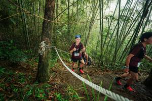 BIB: 
                            <button type="button" onclick="openModal(26524644)" class="btn btn-primary btn-sm float-right btn-popup" data-toggle="modal" data-target=".modal-high-quality">
                        <i class="fas fa-shopping-cart"></i> Add to Cart
                    </button>
                                            <button type="button" onclick="isThisMe(26524644, true)" class="btn btn-success btn-sm float-right btn-popup btn-isme hidden" data-toggle="tooltip" data-placement="bottom" title="นี่คือรูปของคุณใช่ไหม คลิกที่นี่เพื่อเอาเข้าอัลบั้ม">
                        <i class="fas fa-plus"></i> Add to album
                    </button>
                    <button type="button" onclick="isThisMe(26524644, false)" class="btn btn-warning btn-sm float-right btn-popup btn-isnotme hidden">
                        <i class="fas fa-ban"></i> Remove from album
                    </button>