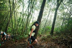 BIB: 
                            <button type="button" onclick="openModal(26524736)" class="btn btn-primary btn-sm float-right btn-popup" data-toggle="modal" data-target=".modal-high-quality">
                        <i class="fas fa-shopping-cart"></i> Add to Cart
                    </button>
                                            <button type="button" onclick="isThisMe(26524736, true)" class="btn btn-success btn-sm float-right btn-popup btn-isme hidden" data-toggle="tooltip" data-placement="bottom" title="นี่คือรูปของคุณใช่ไหม คลิกที่นี่เพื่อเอาเข้าอัลบั้ม">
                        <i class="fas fa-plus"></i> Add to album
                    </button>
                    <button type="button" onclick="isThisMe(26524736, false)" class="btn btn-warning btn-sm float-right btn-popup btn-isnotme hidden">
                        <i class="fas fa-ban"></i> Remove from album
                    </button>