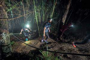 BIB: 
                            <button type="button" onclick="openModal(26518352)" class="btn btn-primary btn-sm float-right btn-popup" data-toggle="modal" data-target=".modal-high-quality">
                        <i class="fas fa-shopping-cart"></i> Add to Cart
                    </button>
                                            <button type="button" onclick="isThisMe(26518352, true)" class="btn btn-success btn-sm float-right btn-popup btn-isme hidden" data-toggle="tooltip" data-placement="bottom" title="นี่คือรูปของคุณใช่ไหม คลิกที่นี่เพื่อเอาเข้าอัลบั้ม">
                        <i class="fas fa-plus"></i> Add to album
                    </button>
                    <button type="button" onclick="isThisMe(26518352, false)" class="btn btn-warning btn-sm float-right btn-popup btn-isnotme hidden">
                        <i class="fas fa-ban"></i> Remove from album
                    </button>